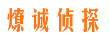 山城资产调查